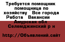 Требуется помощник, помощница по хозяйству - Все города Работа » Вакансии   . Амурская обл.,Селемджинский р-н